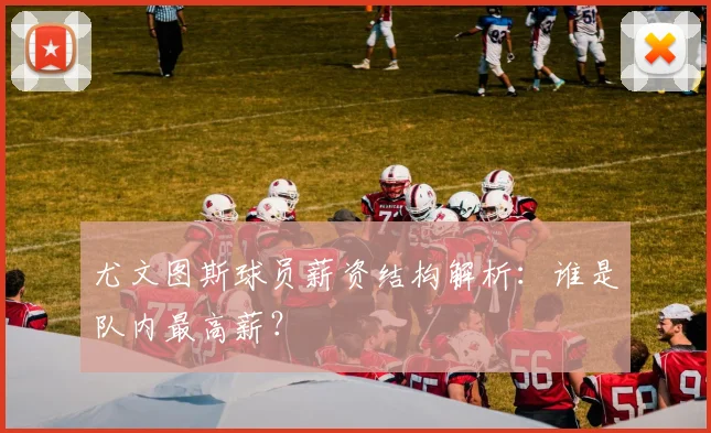尤文图斯球员薪资结构解析:谁是队内最高薪?