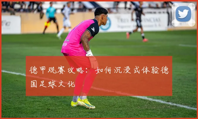 德甲观赛攻略：如何沉浸式体验德国足球文化
