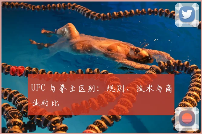 UFC 与拳击区别：规则、技术与商业对比
